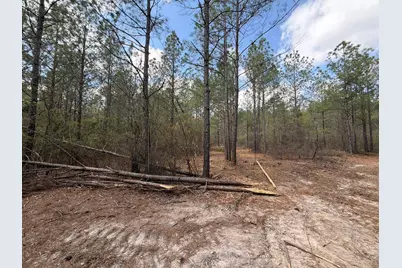 Cva 1 Mount Calvary Road #Cva 1, Ridge Spring, SC 29129 - Photo 9