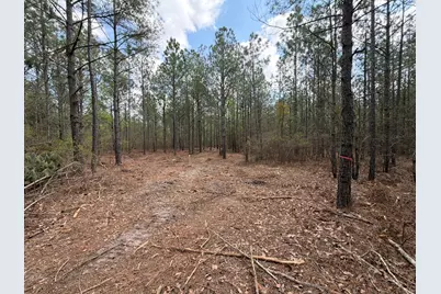 Cva 1 Mount Calvary Road #Cva 1, Ridge Spring, SC 29129 - Photo 37