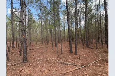 Cva 1 Mount Calvary Road #Cva 1, Ridge Spring, SC 29129 - Photo 33