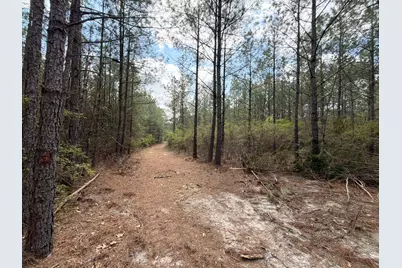 Cva 1 Mount Calvary Road #Cva 1, Ridge Spring, SC 29129 - Photo 11