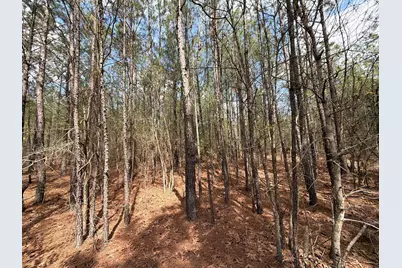 Cva 1 Mount Calvary Road #Cva 1, Ridge Spring, SC 29129 - Photo 27