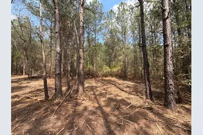 Cva 1 Mount Calvary Road #Cva 1, Ridge Spring, SC 29129 - Photo 41