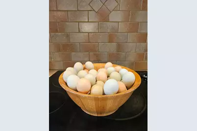 3561 Old 96 Indian Trail, Wagener, SC 29164 - Photo 25