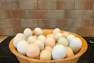 3561 Old 96 Indian Trail, Wagener, SC 29164 - Photo 25