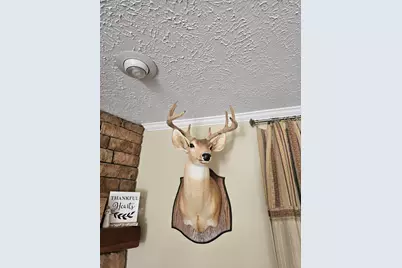 3561 Old 96 Indian Trail, Wagener, SC 29164 - Photo 17