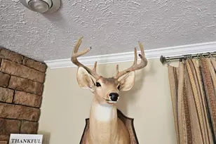 3561 Old 96 Indian Trail, Wagener, SC 29164 - Photo 17