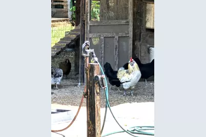 3561 Old 96 Indian Trail, Wagener, SC 29164 - Photo 23