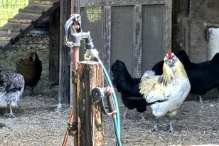 3561 Old 96 Indian Trail, Wagener, SC 29164 - Photo 23