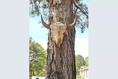 3561 Old 96 Indian Trail, Wagener, SC 29164 - Photo 19