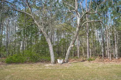 4097 Snaffle Bit Drive, Aiken, SC 29803 - Photo 43