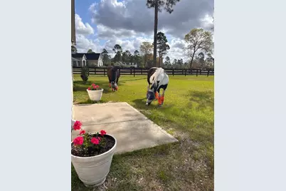 4097 Snaffle Bit Drive, Aiken, SC 29803 - Photo 81