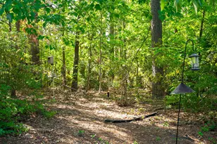259 Forest Pines Rd, Aiken, SC 29803 - Photo 37
