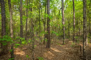 5105 Virginia Hill Ct, Jackson, SC 29831 - Photo 35