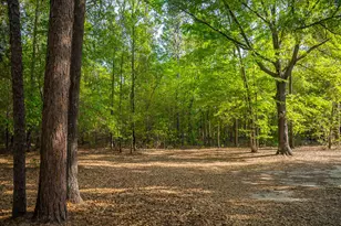 5105 Virginia Hill Ct, Jackson, SC 29831 - Photo 31