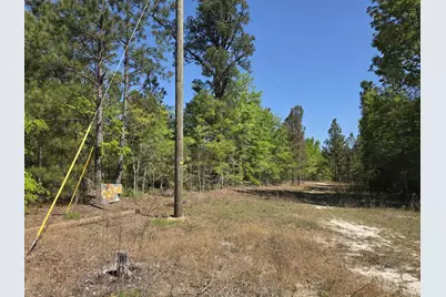 Lot 1 Briarwood Drive, Williston, SC 29853 - Photo 3