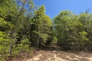 Lot 2 Briarwood Dr, Williston, SC 29853 - Photo 1