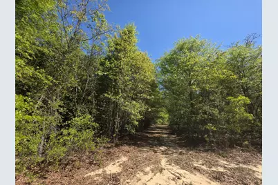 Lot 6 Briarwood Drive, Williston, SC 29853 - Photo 1