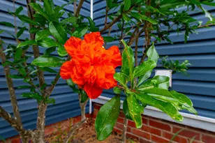 2166 Greene St, Augusta, GA 30904 - Photo 21