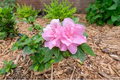99 Sudlow Lake Road, Graniteville, SC 29829 - Photo 27