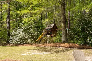 1929 Dibble Rd S W, Aiken, SC 29801 - Photo 57