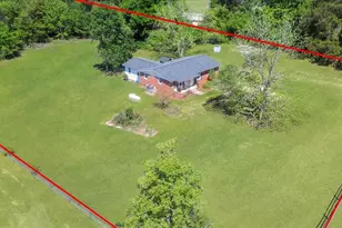 2931 Reynolds Rd, Blackville, SC 29817 - Photo 25