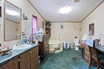 126 Airport Road, Wagener, SC 29164 - Photo 23