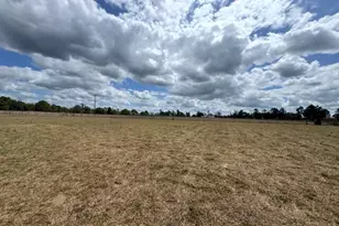 000 New Holland Rd, Wagener, SC 29164 - Photo 3