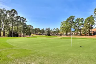 100 White Willow Pl, Aiken, SC 29803 - Photo 49