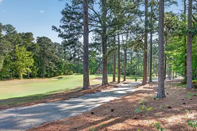 913 Holley Lake Road, Aiken, SC 29803 - Photo 43
