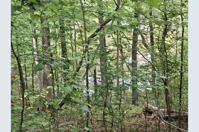 000-A Hummingbird Drive, Trenton, SC 29847 - Photo 7
