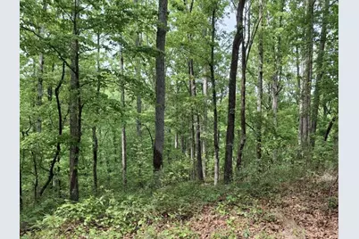 000-A Hummingbird Drive, Trenton, SC 29847 - Photo 3