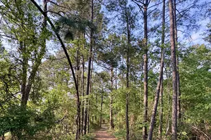 2066 Joyner Pond Rd, Aiken, SC 29803 - Photo 63