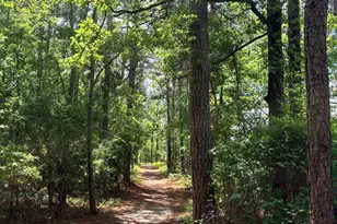 2066 Joyner Pond Rd, Aiken, SC 29803 - Photo 65