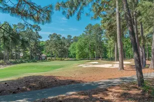 124 Sweet Gum Ln, Aiken, SC 29803 - Photo 53