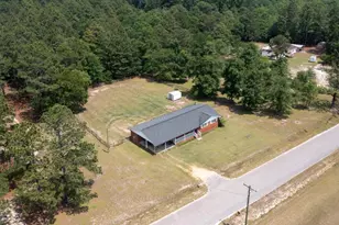 460 Archie Ware Rd, Ridge Spring, SC 29129 - Photo 29