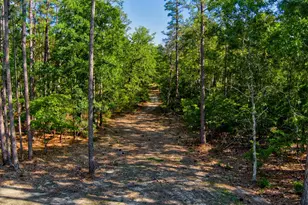 6489 Pony Trail, Aiken, SC 29803 - Photo 93