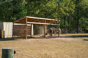 177 Muddy Branch Rd, Aiken, SC 29805 - Photo 27