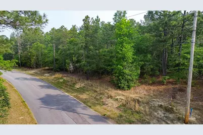 0000 Mt Zion Road #3, Trenton, SC 29847 - Photo 3