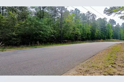0000 Mt Zion Road #3, Trenton, SC 29847 - Photo 9