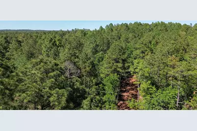 0000 Mt Zion Road #3, Trenton, SC 29847 - Photo 5
