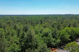 0000 Mount Zion Rd, Trenton, SC 29847 - Photo 1
