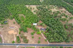 676 Mt Calvary Rd, Ridge Spring, SC 29129 - Photo 25