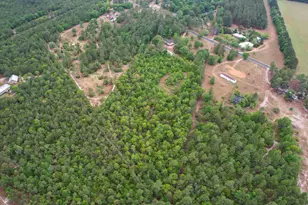 676 Mt Calvary Rd, Ridge Spring, SC 29129 - Photo 31