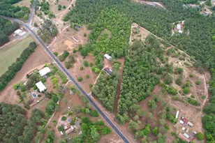 676 Mt Calvary Rd, Ridge Spring, SC 29129 - Photo 27