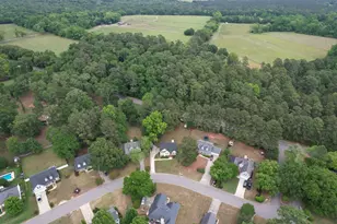 1060 Willow Woods Dr, Aiken, SC 29803 - Photo 45