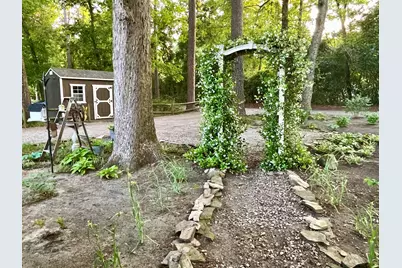 2166 Healing Springs Road, Blackville, SC 29817 - Photo 37