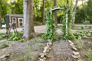 2166 Healing Springs Rd, Blackville, SC 29817 - Photo 37