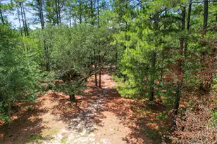 110 New Bridge Rd, Aiken, SC 29801 - Photo 57