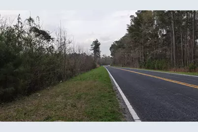 3 Bunch Ford Road #3, Holly Hill, SC 29059 - Photo 3