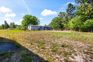289 Beck Rd, Williston, SC 29853 - Photo 21